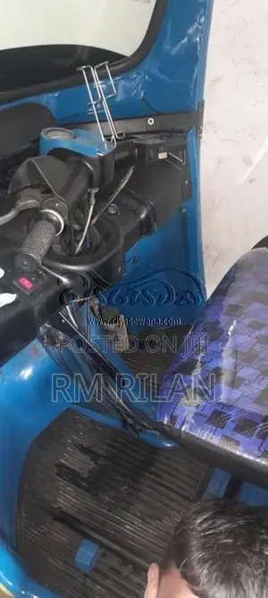 TVS King 2010 Three Wheel (Used)
