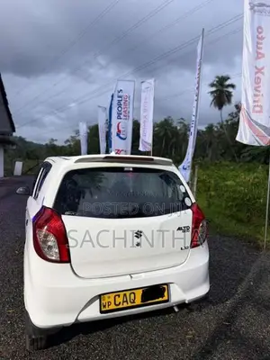 Suzuki Alto 2016 Car (Used)