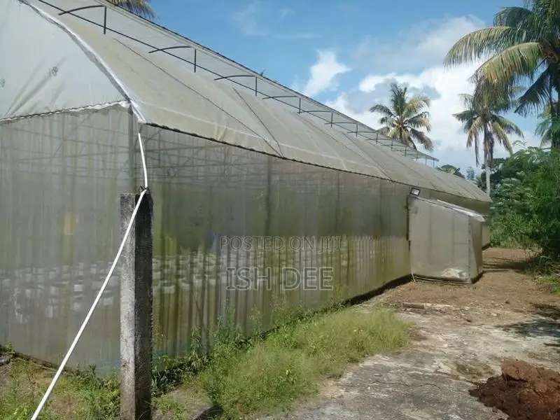 3000 Sq Ft Greenhouse/ Polytunnel
