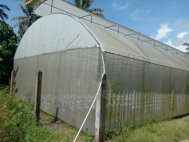 3000 Sq Ft Greenhouse/ Polytunnel