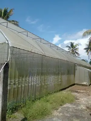 3000 Sq Ft Greenhouse/ Polytunnel