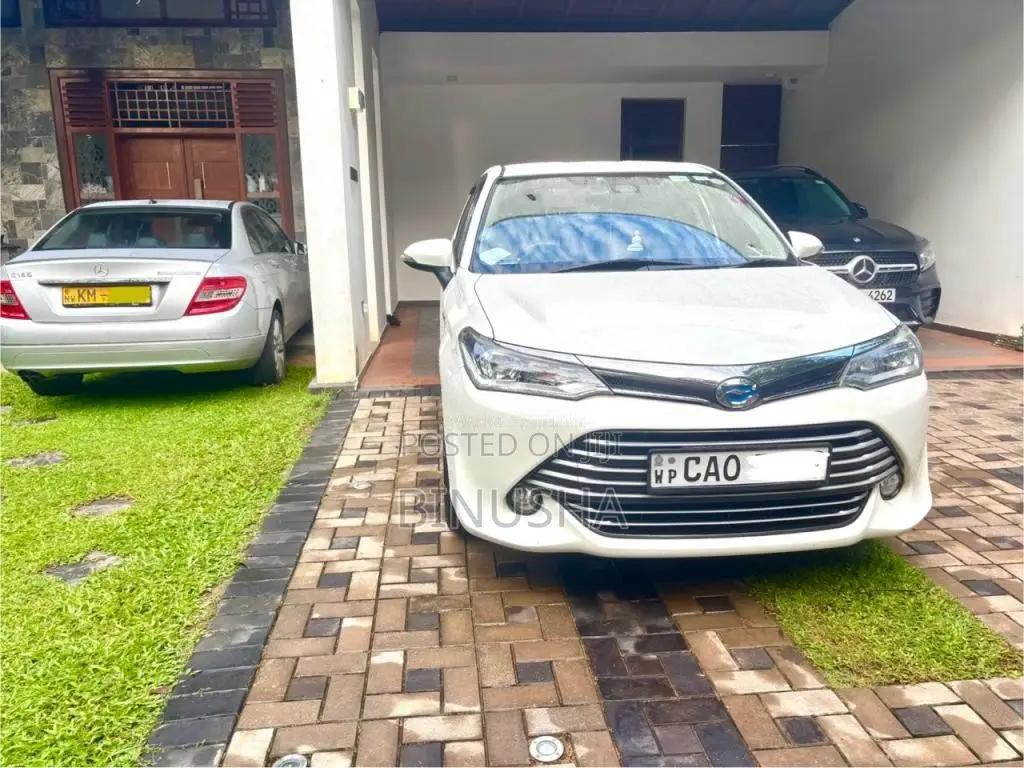 Toyota Axio 2015 Car (Used)