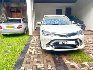 Toyota Axio 2015 Car (Used)