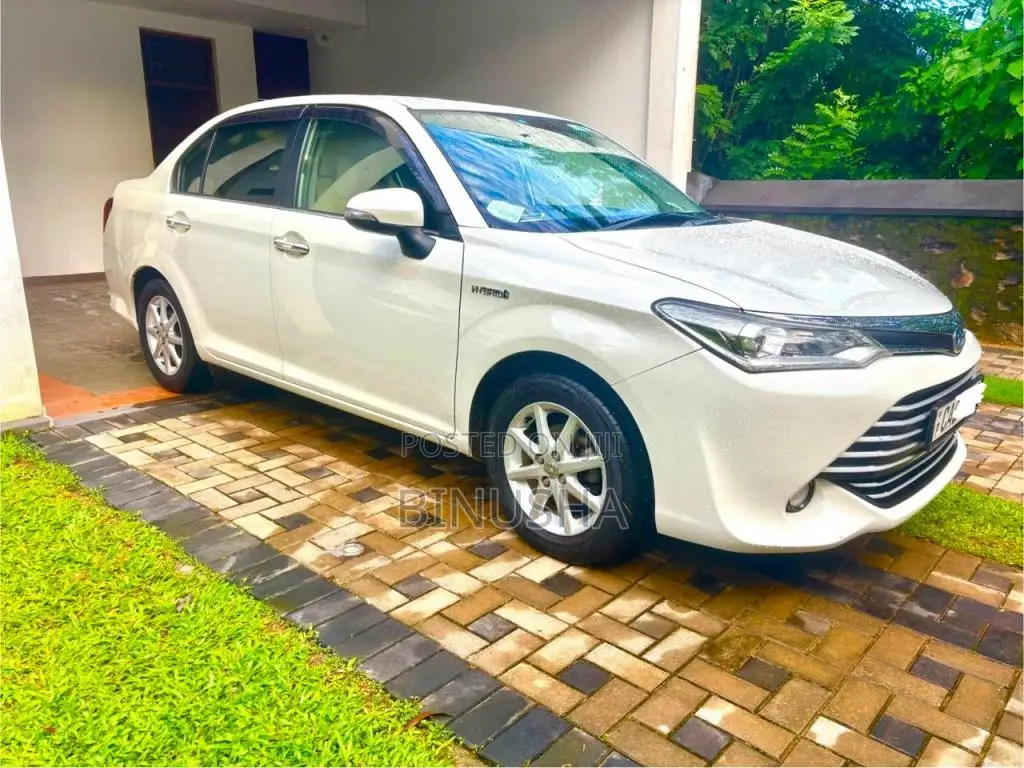 Toyota Axio 2015 Car (Used)